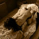 Private Photo of gioca-con-me